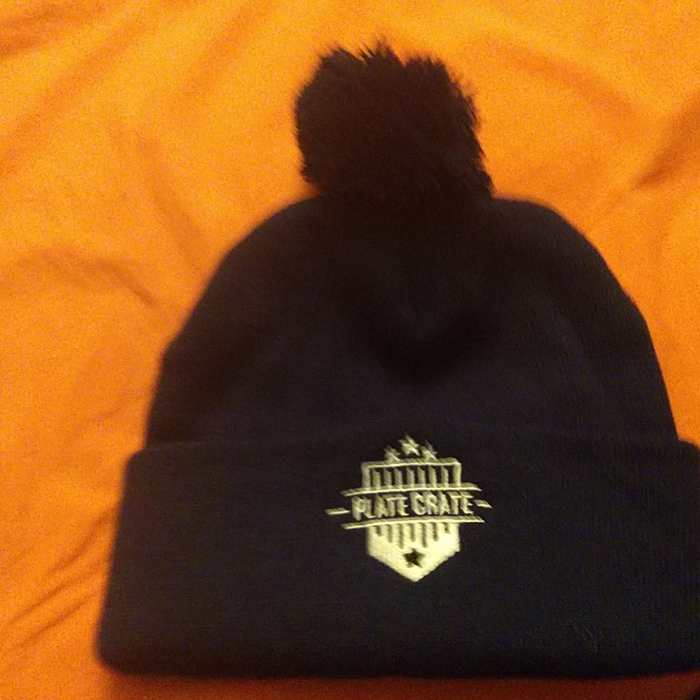 Plate Crate winter beanie with palm palm